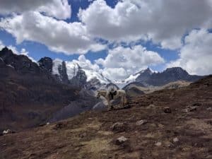 Peru_IMG_20190828_120356