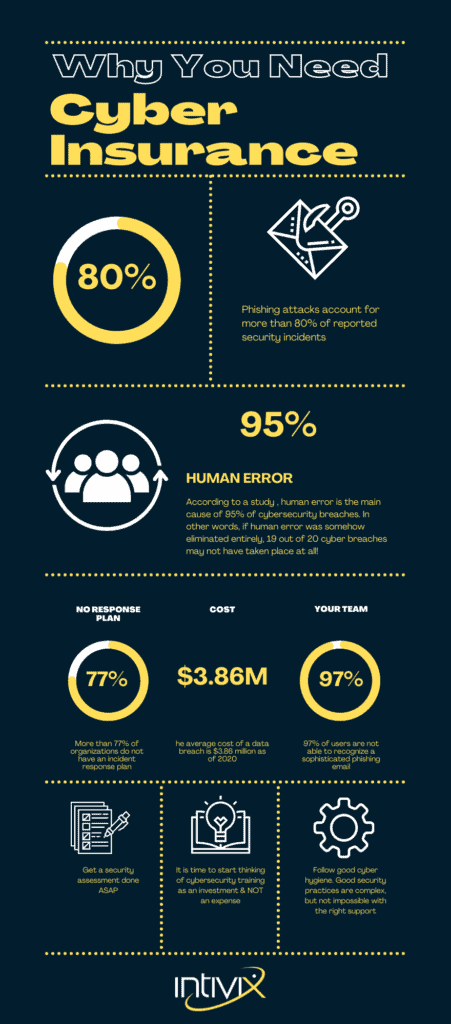 Cyber Insurance Infographic 