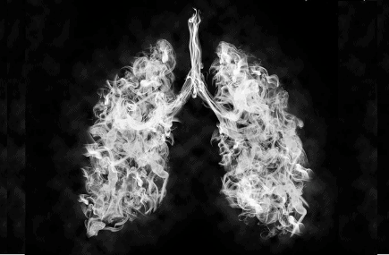 smoke lungs